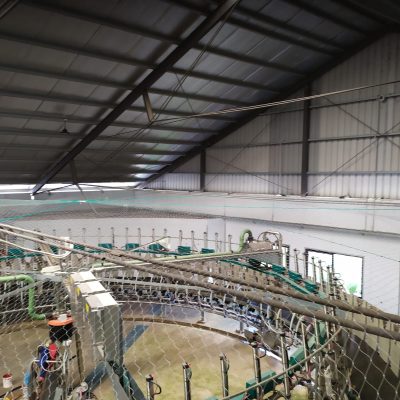 WhatsApp Image 2021-12-07 at 22.35.53